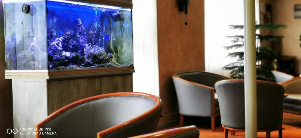 Hotel Pedussaut Saint Gaudens Dış mekan fotoğraf